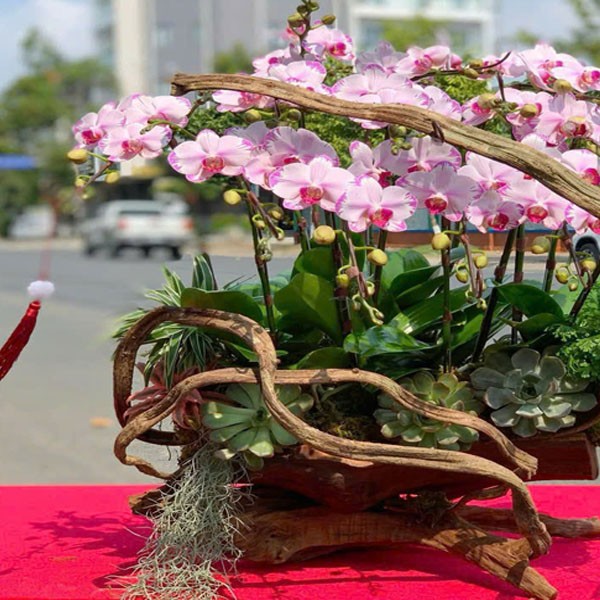 Lũa hoa lan hồ điệp - 125